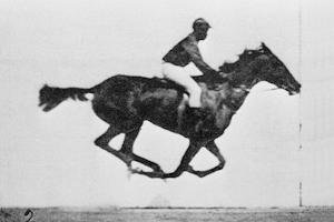 Animación de las fotografías secuenciales de Muybridge en la que un caballo galopa en bucle