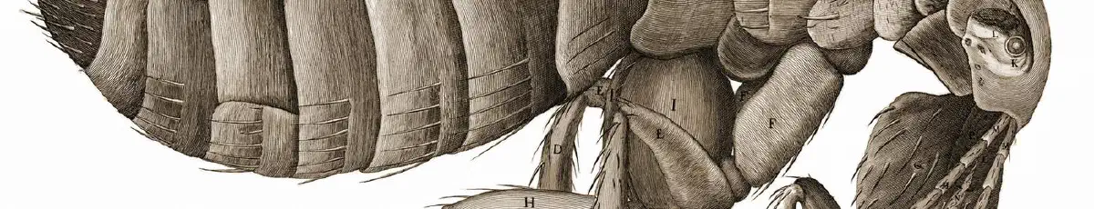 MICROGRAPHIA or some physiological descriptions of minute bodies made by magnifying glasses with observations and inquiries thereupon. — Ciencia y tecnología