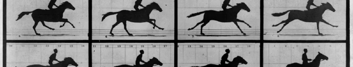 The Horse in Motion — Fotografía
